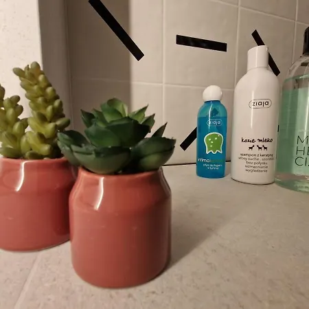 Mieszkanie Centralna Tauron Arena * Krasków